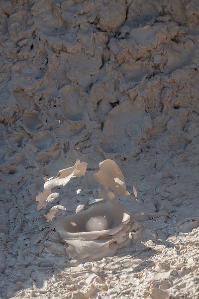 Hopkins, Cindy Miller 아티스트의 USA-Wyoming-Yellowstone National Park-Atrists Paintpots-Boiling hot mud pots-Detail of exploding bu작품입니다.